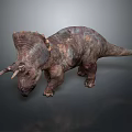 Realistic Triceratops Dinosaur 3D Rendering On Gray Background With Horns And Skin Texture