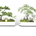 Two Bonsai Plants In Marble Planters With Small Lights And Surrounding Greenery