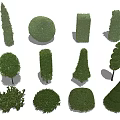 Various Trimmed Shaped Bushes For Garden Landscaping And Outdoor Design Ideas