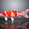 Vibrant Koi Fish With Red White Patterns And Black Spots On Dark Surface With Reflection 3d model