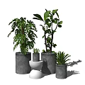 Modern Indoor Potted Plants with Grey and White Concrete Pots for Home Decoration