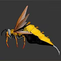 Wasp 3D Model With Yellow Body Transparent Wings And Orange Legs