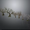 Leafless Trees with Various Colored Trunks Green Bases in Dark Background and Reflections