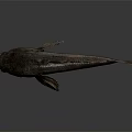 Distinctive Dark Spotted Fish With Open Mouth And Visible Fins On Gray Background