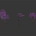 Three Purple Trees With Purple Foliage On White Background And Clear Reflections