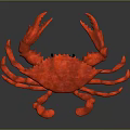 Red Crab 3D Render With Glossy Surface And Reflection On Dark Background