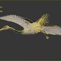 White and Green Crane Flying with Red Crown Yellow Beak on Gray Background