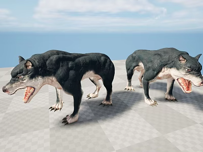 Two Black Wolves with Open Mouths Standing on Checkered Floor Against Blue Sky and Sea 3d model
