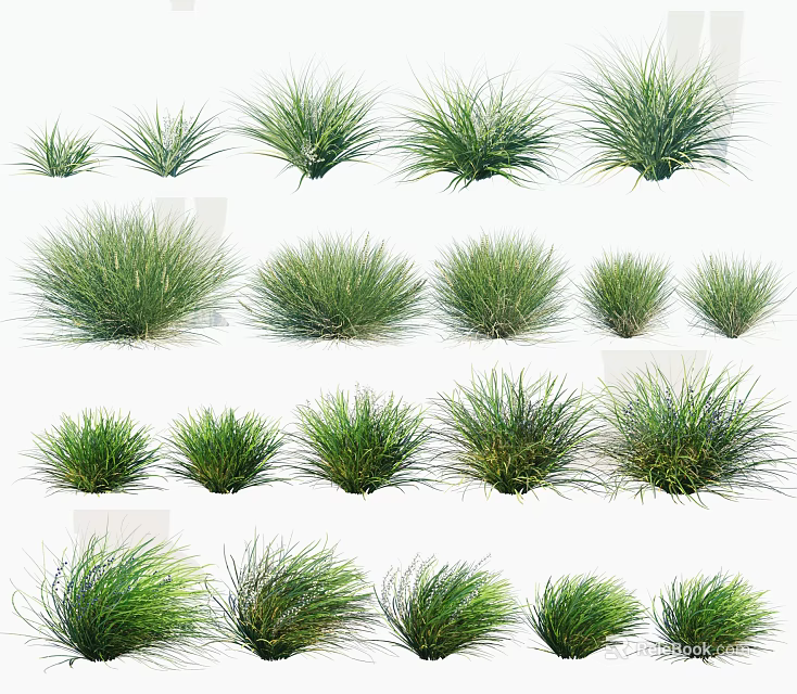 Green Grass Collection Featuring Various Shapes Different Sizes And Lush Foliage Arranged Neatly 3d model 