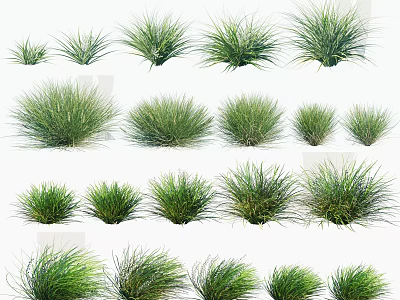Green Grass Collection Featuring Various Shapes Different Sizes And Lush Foliage Arranged Neatly 3d model