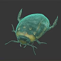 Flying Beetle With Black And Orange Hard Shell Body On Dark Background Close Up
