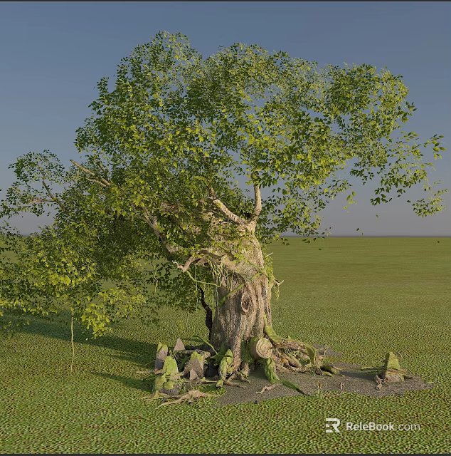 Arbor With Thick Trunk Green Leaves And Exposed Roots On Green Grassland Under Blue Sky 3d model 