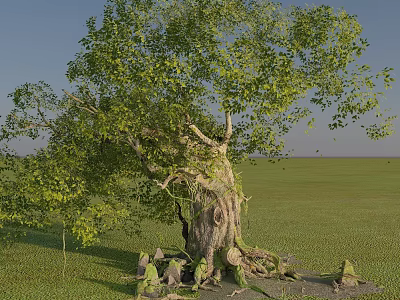 Arbor With Thick Trunk Green Leaves And Exposed Roots On Green Grassland Under Blue Sky 3d model