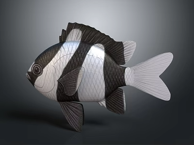 Black and white striped aquatic fish with fins tail and 3D model on gray gradient background 3d model