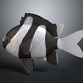 Black and white striped aquatic fish with fins tail and 3D model on gray gradient background