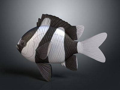 modern fish freshwater fish marine fish animal 3d model