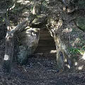 Natural Cave Entrance Scenery Surrounded by Trees and Vegetation with Sunlight Through Leaves