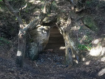 Natural Cave Entrance Scenery Surrounded by Trees and Vegetation with Sunlight Through Leaves 3d model