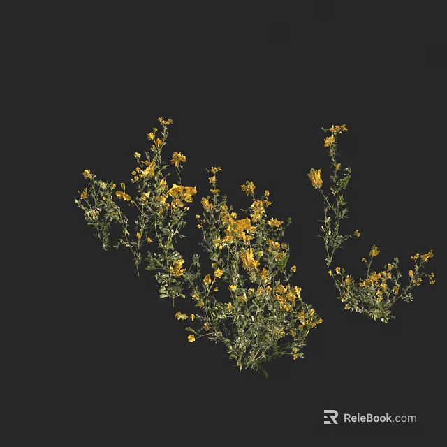 Yellow Flowers With Multiple Branches And Dense Blooms Against Black Background 3d model 