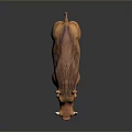 Realistic Warthog 3D Model With Brown Fur And Curved Tusks In Standing Pose