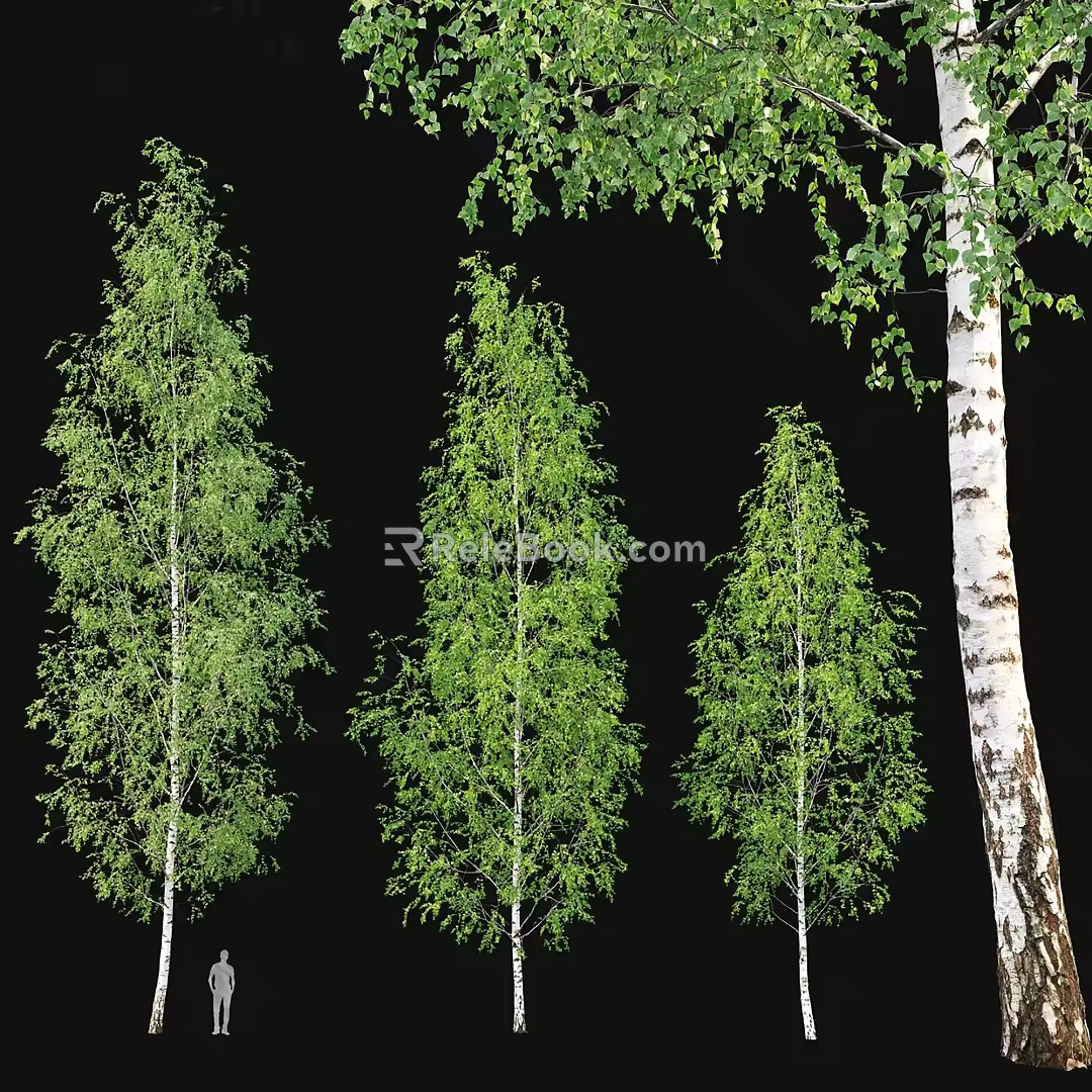 Landscape tree ash birch 3d model