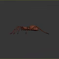 Spider With Red Body And Blue Red Legs On Gray Background 3d model