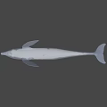 Game Movie Character White Dolphin 3D Render with Animated Realistic Design 3d model