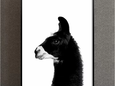 Black and White Llama Portrait Animal Painting Minimalist Wall Art for Home Decor 3d model
