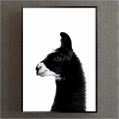 Black and White Llama Portrait Animal Painting Minimalist Wall Art for Home Decor 3d model