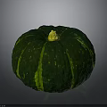 Green Pumpkin Plant With Green Stripes And Yellow Stem On Gray Surface