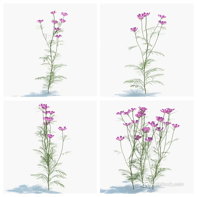 Purple Flowering Herbaceous Grasses With Slender Stems Green Leaves And Various Bloom Quantities 3d model 