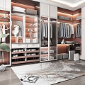 Modern Cloakroom Wardrobe Glass Cabinet Door 3d model