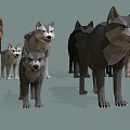 Low Poly Style Various Colored Wolves Standing Together in Group 3d model