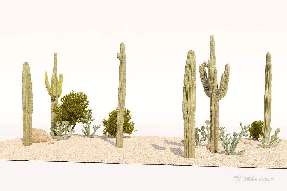 Green Shrubs and Tall Cacti as Bonsai Plants in Desert Sand Landscape 3d model 