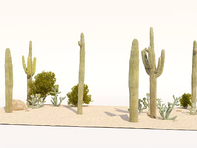 Green Shrubs and Tall Cacti as Bonsai Plants in Desert Sand Landscape 3d model