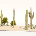 Green Shrubs and Tall Cacti as Bonsai Plants in Desert Sand Landscape