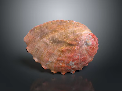 Shellfish With Reddish Brown Textured Shell Featuring Natural Sheen On Dark Reflective Surface 3d model