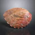 Shellfish With Reddish Brown Textured Shell Featuring Natural Sheen On Dark Reflective Surface