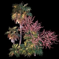 Diverse Plant Combination With Palm Trees Red Flowering Trees And Lush Green Leaves