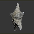 Modern starfish mollusk 3d model