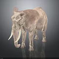 Realistic Elephant 3D Model With Long Tusks Large Ears And Trunk On Black Background