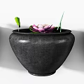 Ceramic Pot Fish Tank With Pink Lotus Green Leaves And Calm Water Surface
