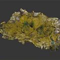 Artistic Vegetable Arrangement With Leafy Greens White Green Hues And Irregular Natural Shape