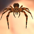 Detailed Large Spider With Brown And Black Patterned Legs On Orange Background