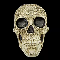 Man Displaying Intricate Patterned Decorative Skull Against Black Background 3d model