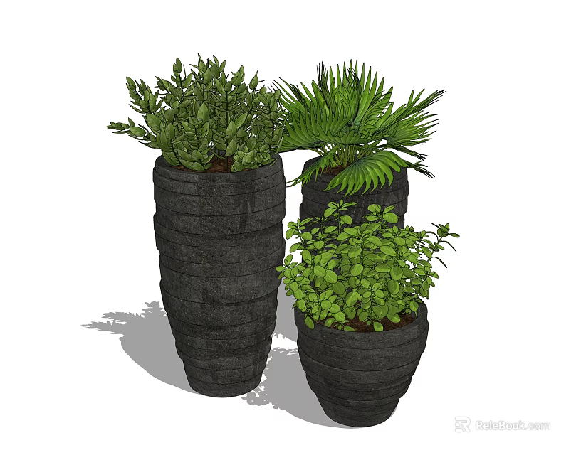 Decorative Bonsai Potted Plants In Black Pots With Varied Green Foliage 3d model 