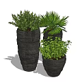 Decorative Bonsai Potted Plants In Black Pots With Varied Green Foliage