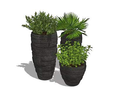 Decorative Bonsai Potted Plants In Black Pots With Varied Green Foliage 3d model
