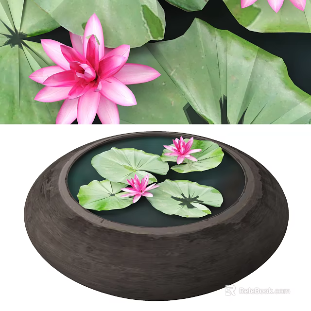 Round Bonsai Pot With Pink Lotus Flowers And Green Water Lily Leaves 3d model 
