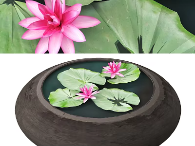 Round Bonsai Pot With Pink Lotus Flowers And Green Water Lily Leaves 3d model